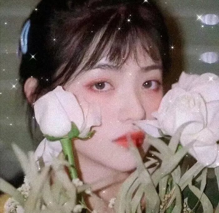 瑟堡的雨伞